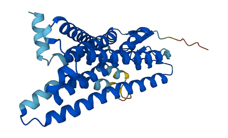 Olfr146 3D structure