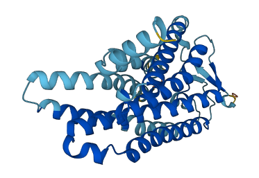 Olfr9 3D structure