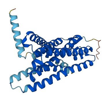 Olfr147 3D structure