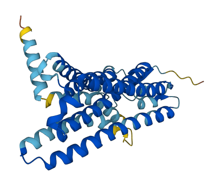 Olfr148 3D structure