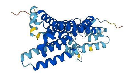 Olfr149 3D structure