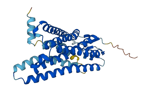 Olfr5 3D structure