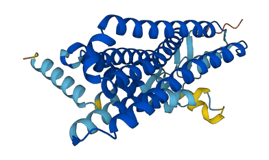 Olfr11 3D structure