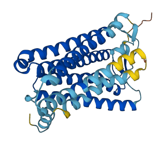 Olfr8 3D structure