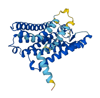 Olfr151 3D structure