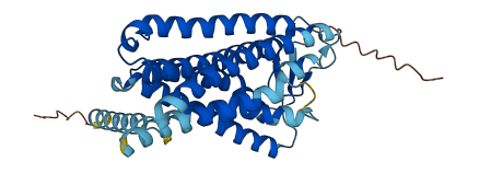 Olfr12 3D structure
