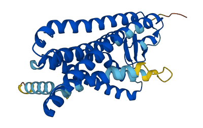 Olfr150 3D structure