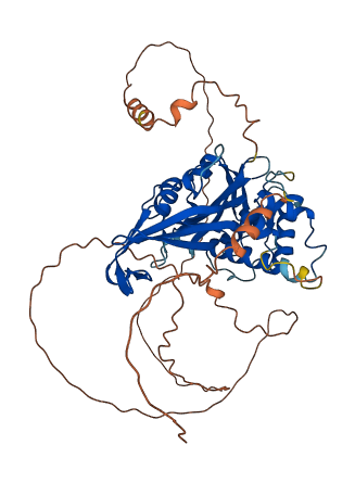 Usp17la 3D structure