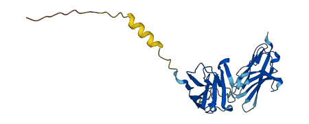 Ceacam10 3D structure