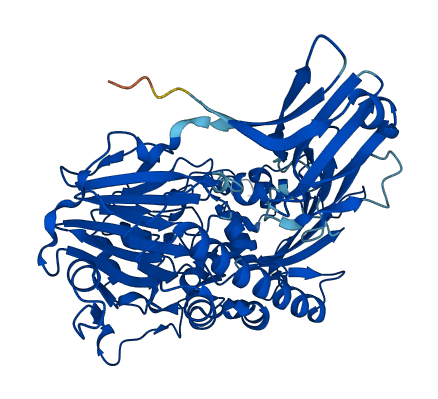 Cmah 3D structure