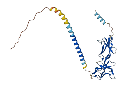 Gp49a 3D structure