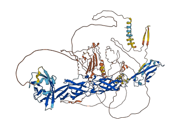 Dsg1a 3D structure