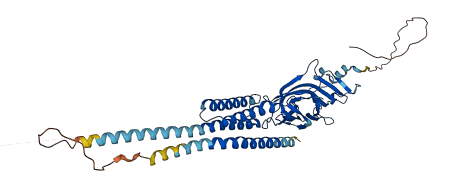 Glra4 3D structure