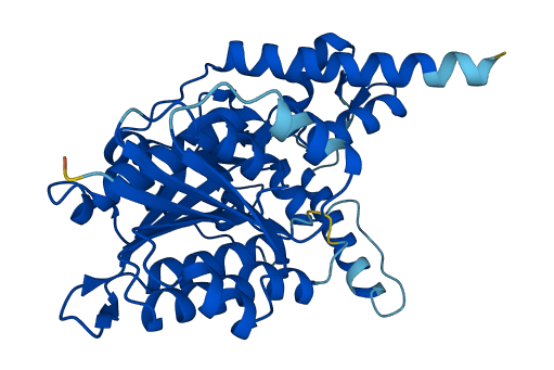Hsd3b5 3D structure