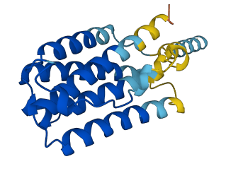 Ifna11 3D structure