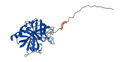 Klk1b24 3D structure