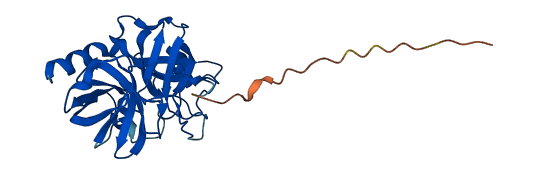 Klk1b21 3D structure