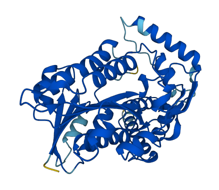 Hsd3b4 3D structure