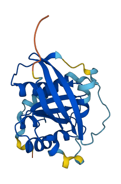 Rasl2-9 3D structure