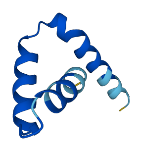 Sox16 3D structure