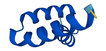 Sox19 3D structure