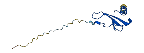 Ccl12 3D structure