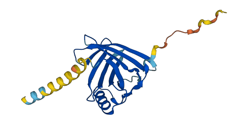 Lcn3 3D structure