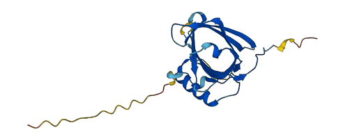 Lcn4 3D structure