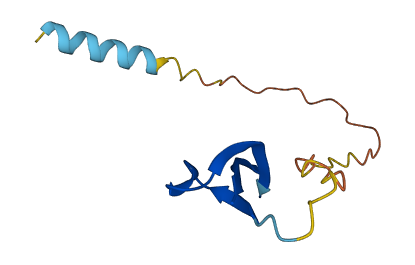 Np4 3D structure