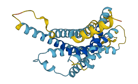 Vom1r105 3D structure