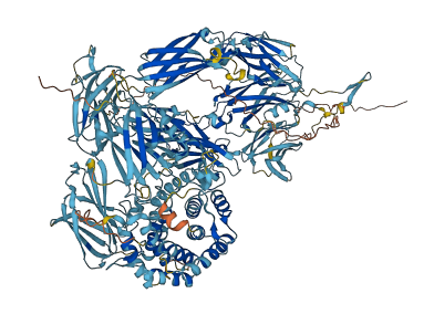 A1m 3D structure
