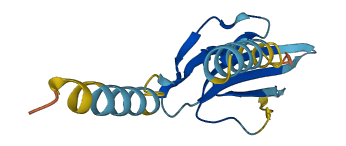 Ly6b 3D structure