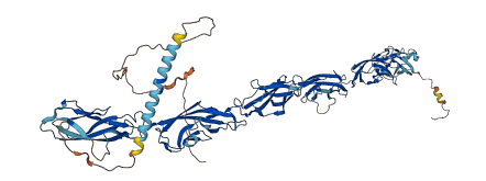 Pcdh3 3D structure
