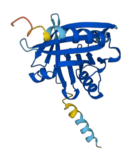 Orm3 3D structure