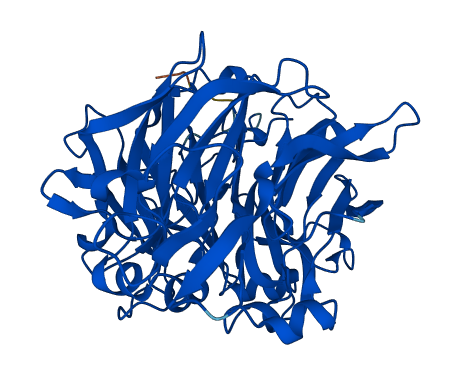 Selenbp2 3D structure