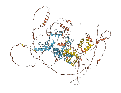 ZKSCAN2 3D structure