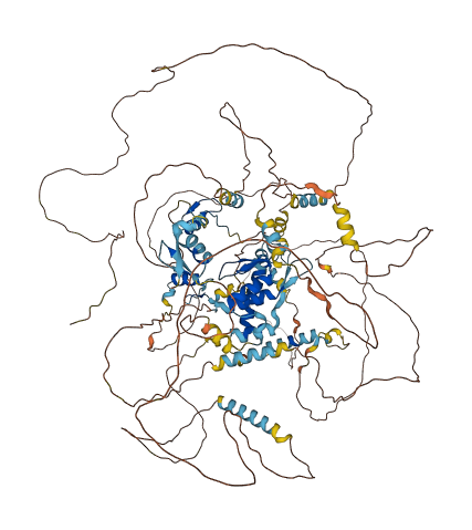 TSHZ3 3D structure