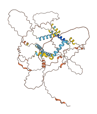 FAM205BP 3D structure