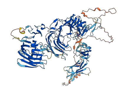 EGFLAM 3D structure