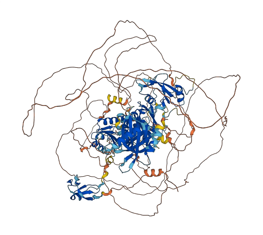 TNS2 3D structure