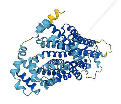 SLC22A10 3D structure