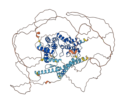 KANK2 3D structure