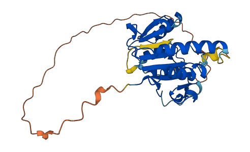 NSUN5P2 3D structure