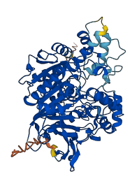 Ces1e 3D structure