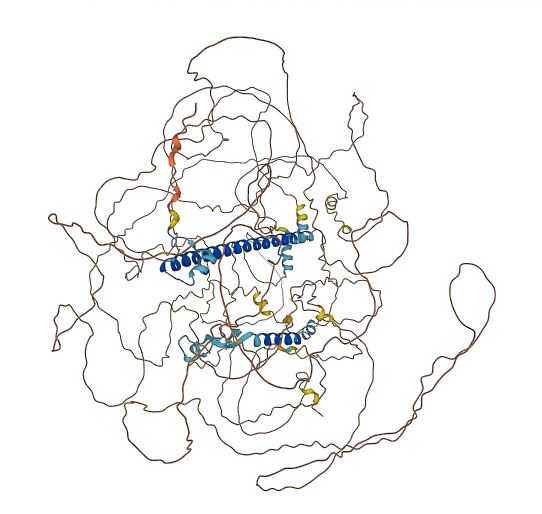 WASHC2A 3D structure