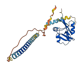 Klra3 3D structure