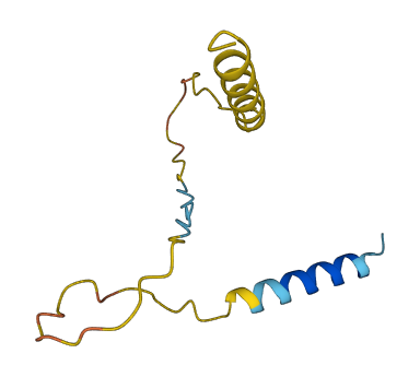 Svs6 3D structure