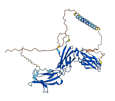 Il11ra1 3D structure
