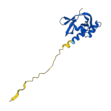 Ang2 3D structure