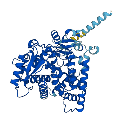 Cyp2c29 3D structure